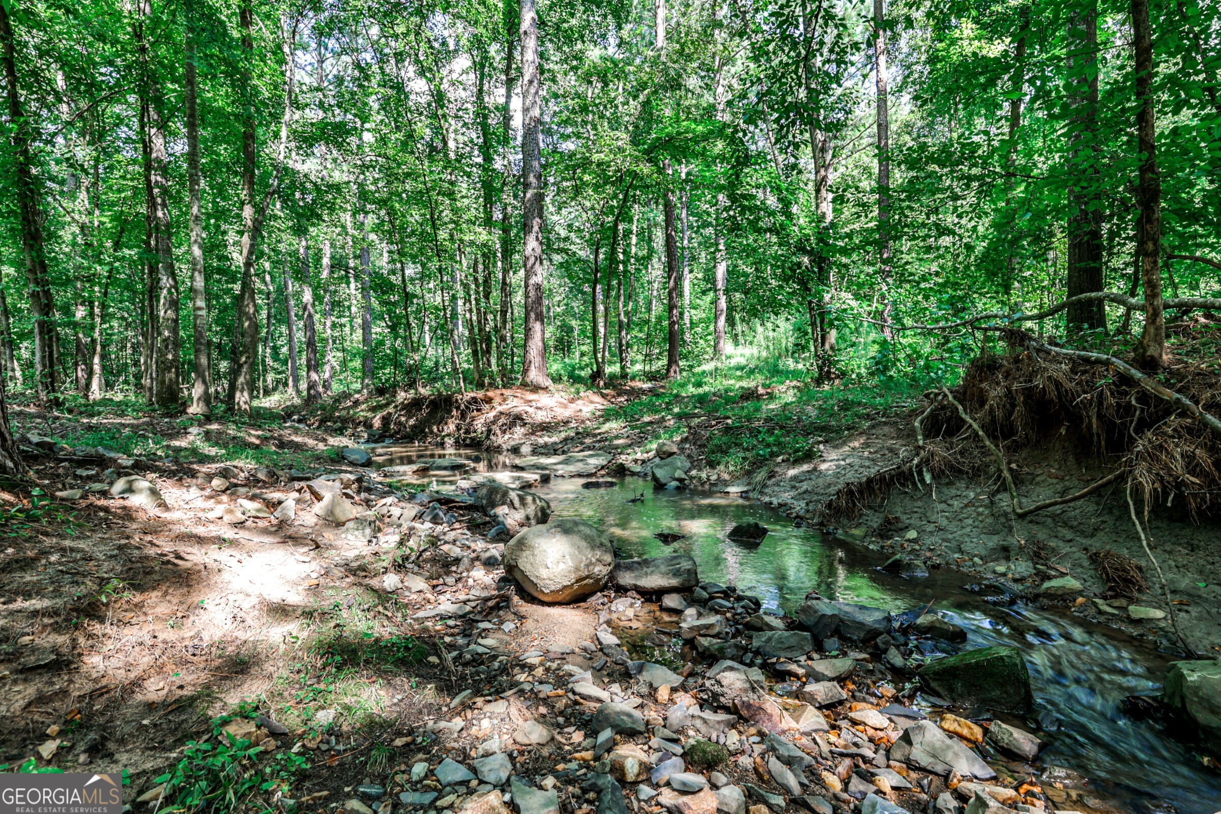 0 Felton Mcmichael Road Monticello, GA 31064 - Photo 17 of 26 a view of a tree with a yard