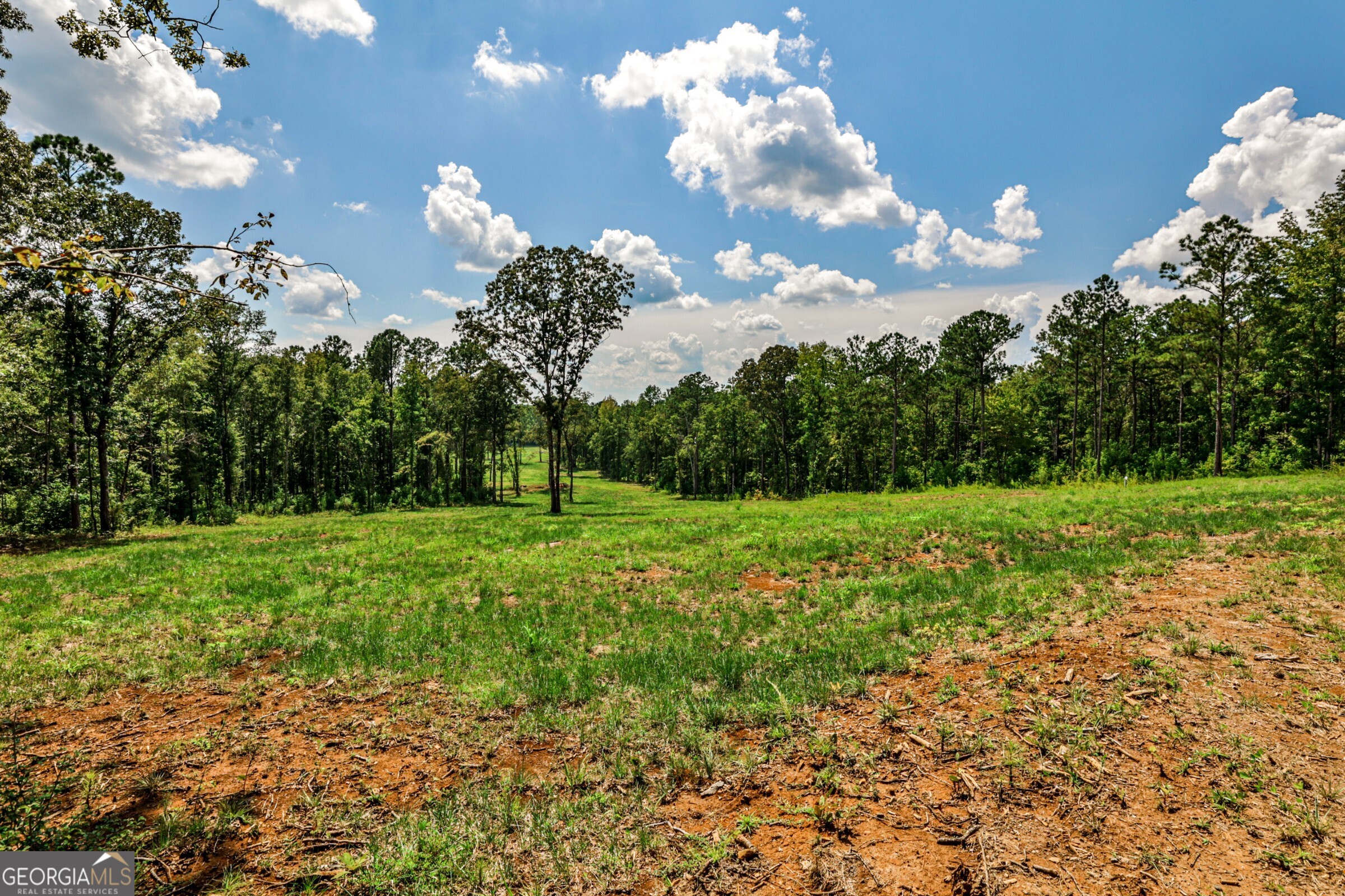 0 Felton Mcmichael Road Monticello, GA 31064 - Photo 18 of 26 a view of a building with a big yard