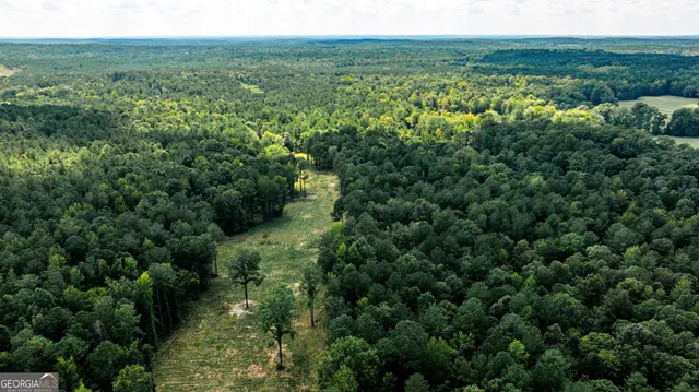 a view of a lush green forest with trees and some houses