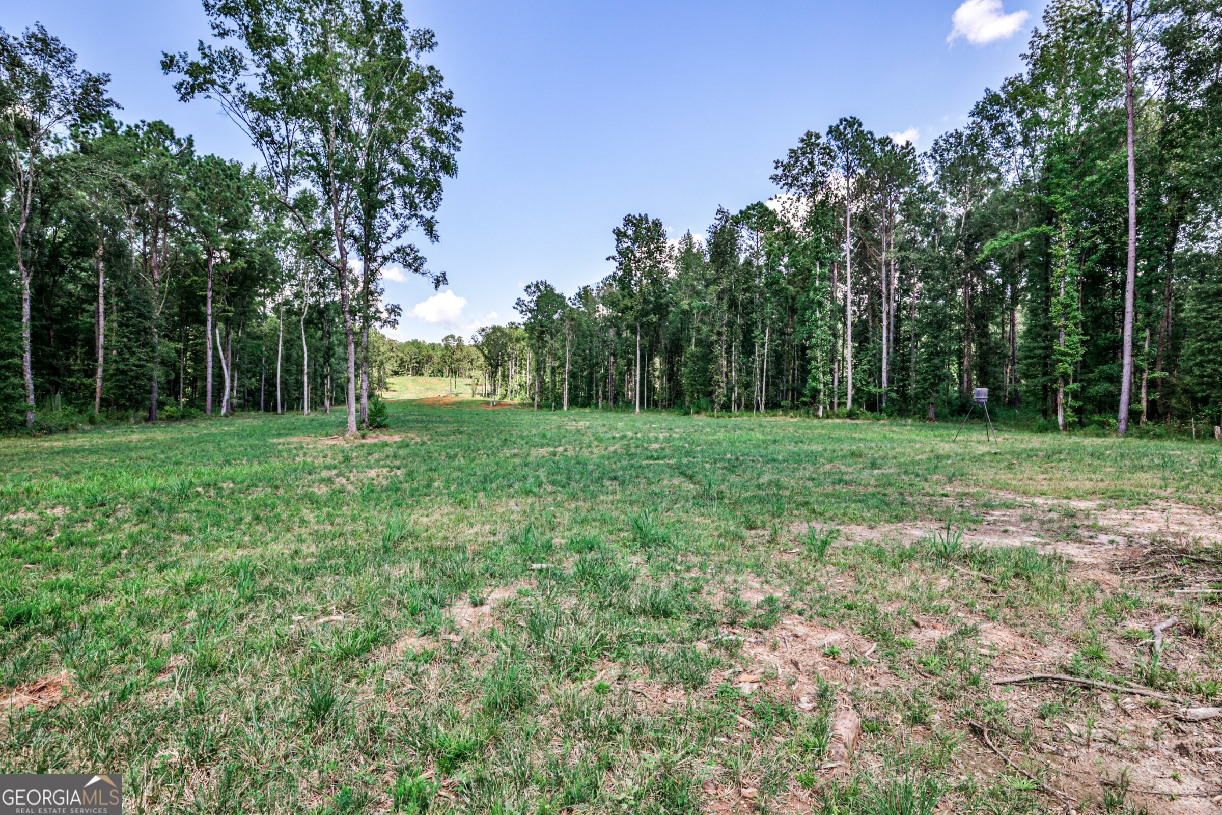 0 Felton Mcmichael Road Monticello, GA 31064 - Photo 2 of 26 a view of a grassy field with trees in the background