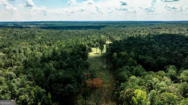a view of a bunch of trees and bushes