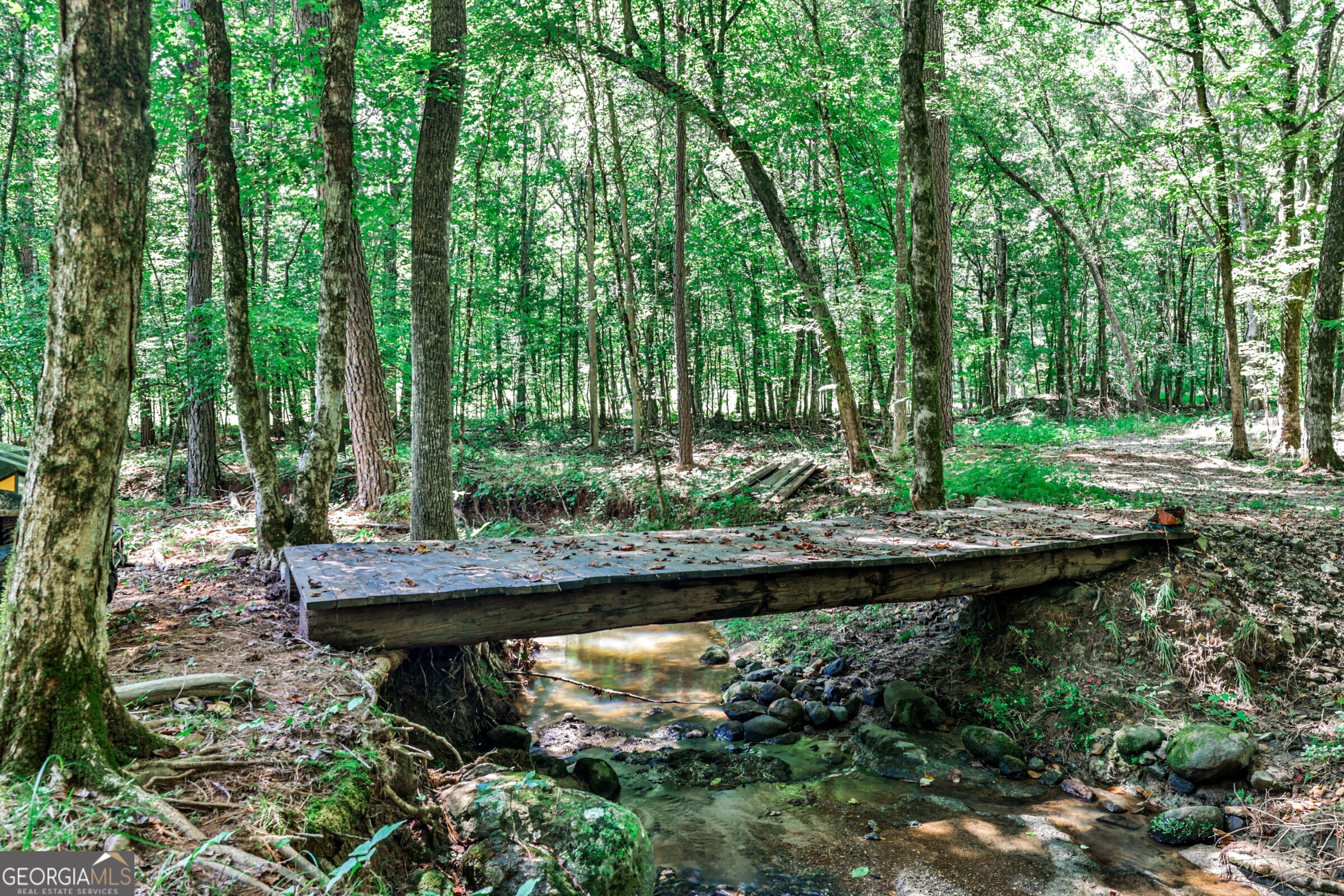0 Felton Mcmichael Road Monticello, GA 31064 - Photo 3 of 26 a view of a backyard with plants and large trees