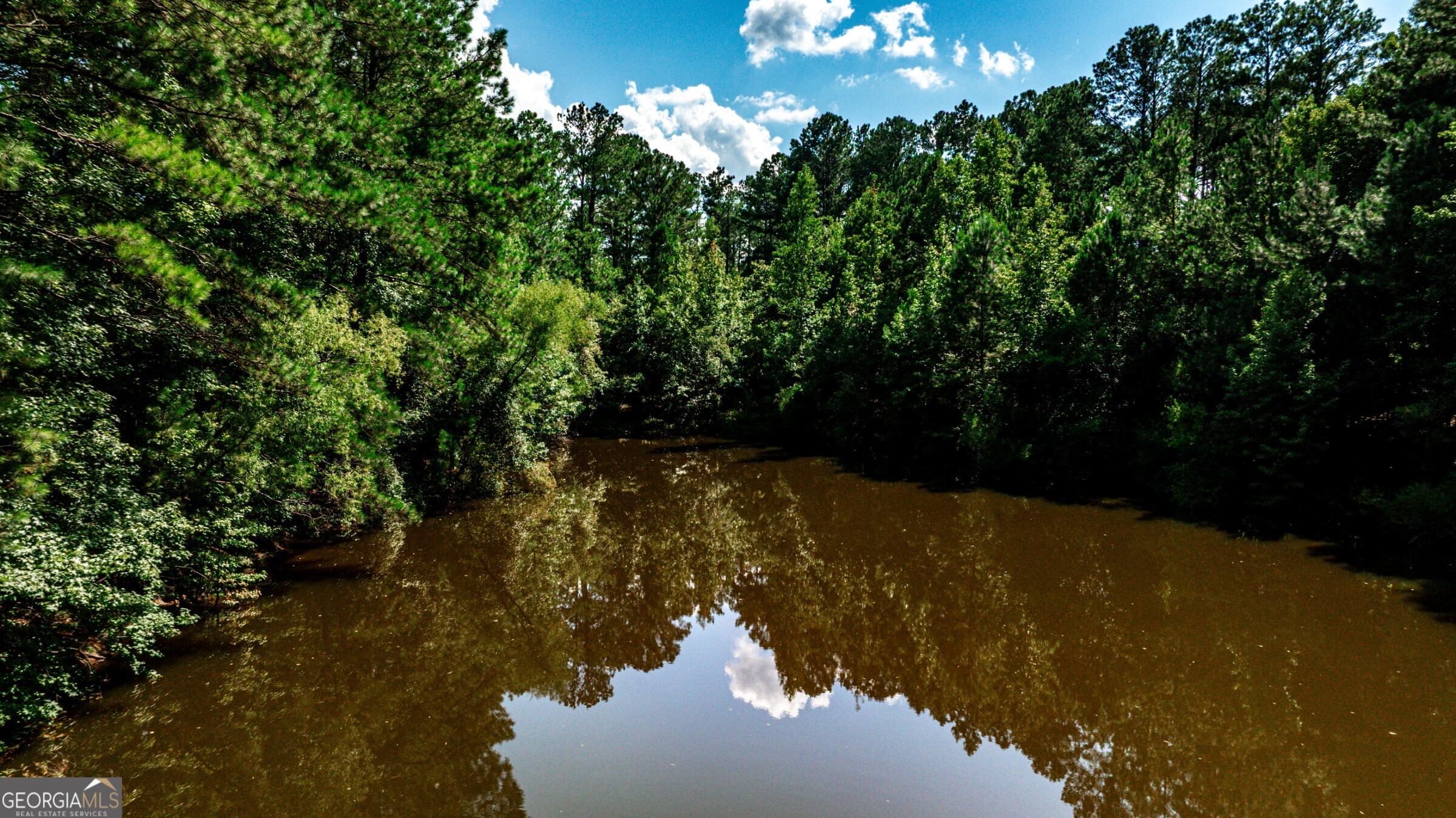 0 Felton Mcmichael Road Monticello, GA 31064 - Photo 4 of 26 a view of lake from inside of house