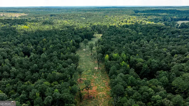 an aerial view of residential houses with outdoor space and trees