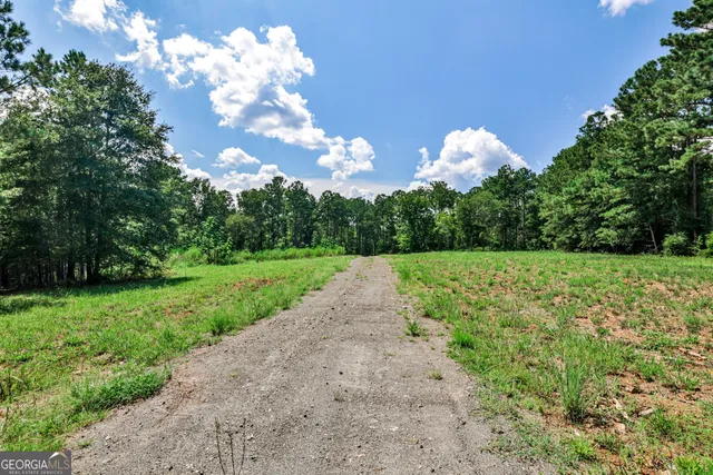 a view of a big yard with large trees