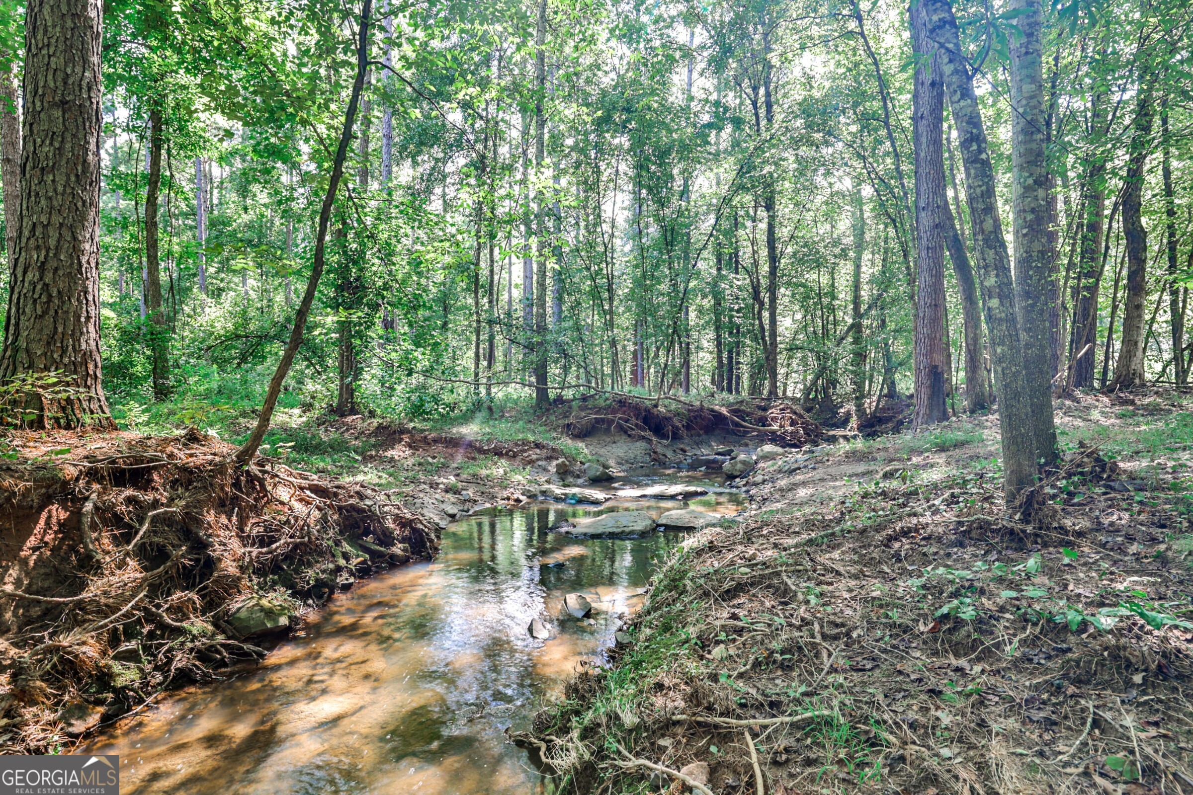 0 Felton Mcmichael Road Monticello, GA 31064 - Photo 7 of 26 a garden with lots of trees