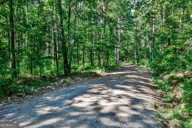 a view of outdoor space and trees