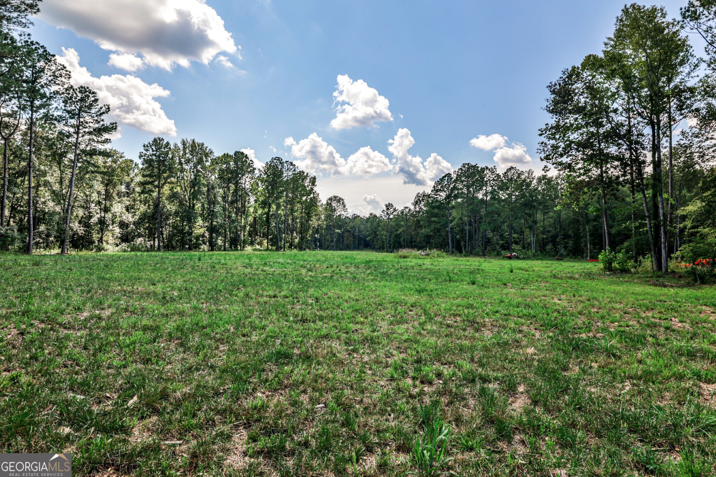 0 Felton Mcmichael Road Monticello, GA 31064 - Photo 9 of 26 a view of a big yard with plants and large trees
