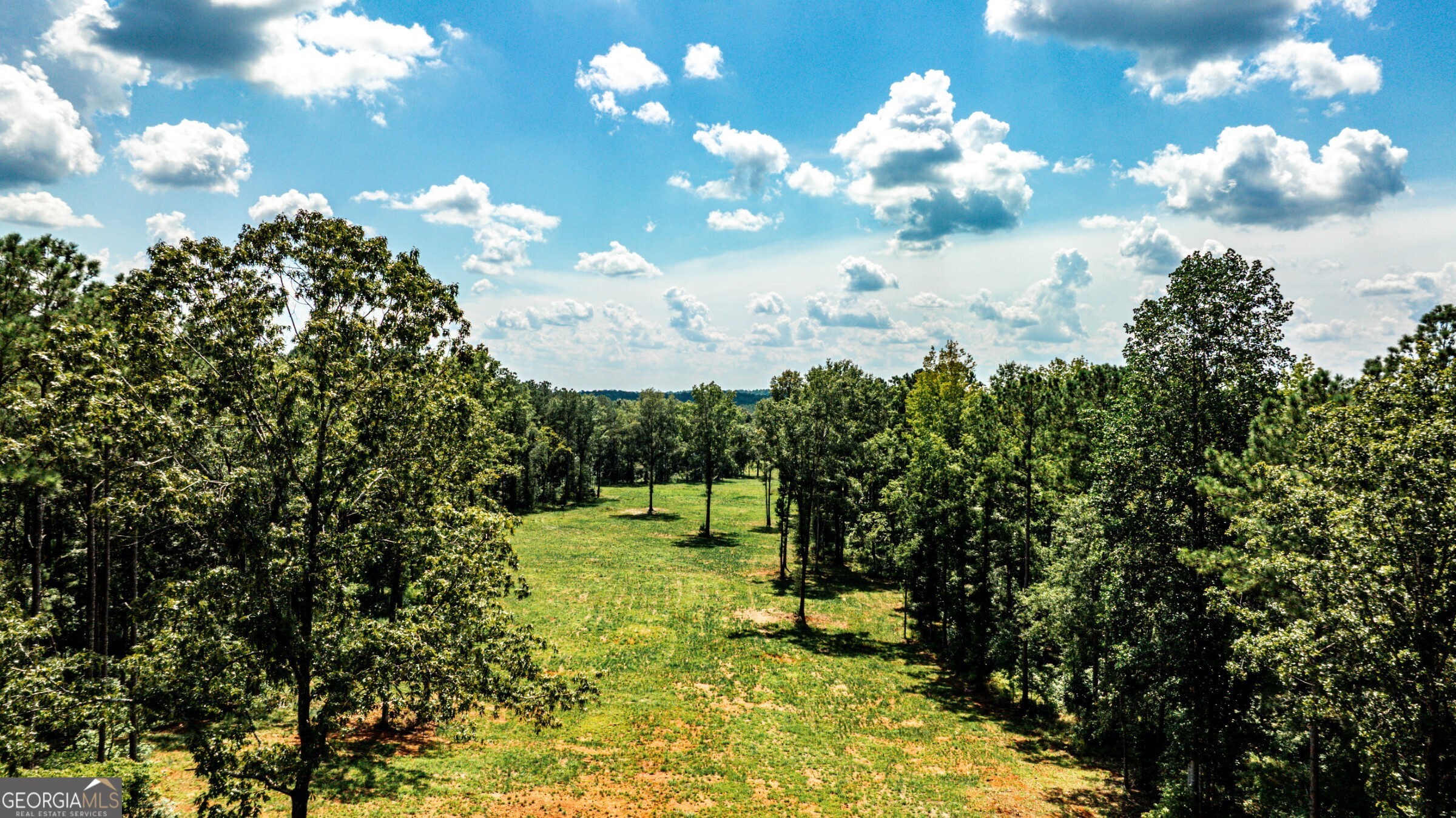 0 Felton Mcmichael Road Monticello, GA 31064 - Photo 10 of 26 a view of a flower in a yard