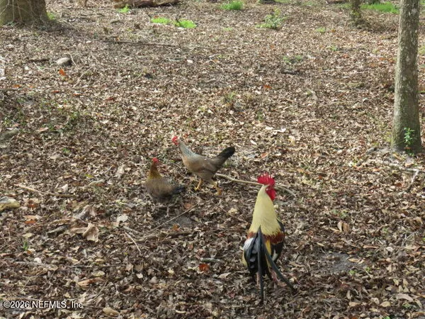 $610,000 | 4564 Crazyhorse Avenue, Unit B, Middleburg, FL 32068