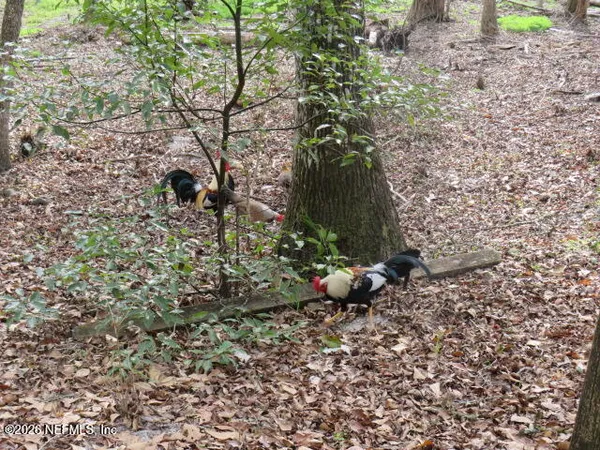 $610,000 | 4564 Crazyhorse Avenue, Unit B, Middleburg, FL 32068