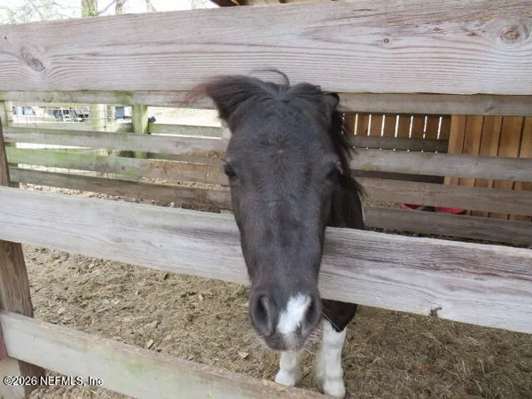 $610,000 | 4564 Crazyhorse Avenue, Unit B, Middleburg, FL 32068