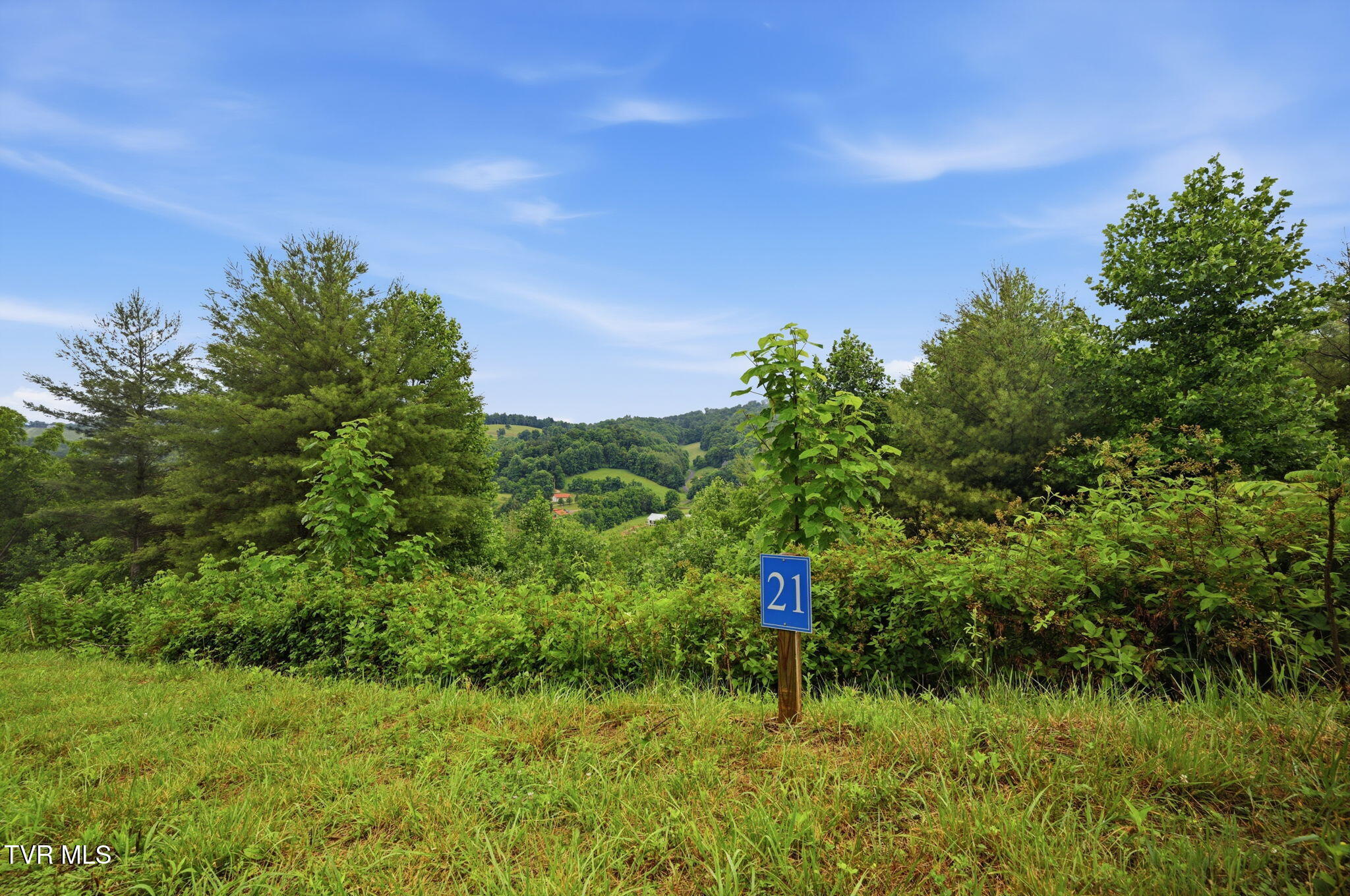 Lot 21 Eagle Rdg Parkway, Unit 21 Butler, TN 37640 - Photo 3 of 17 4-web-or-mls-EXT_9104 (1)