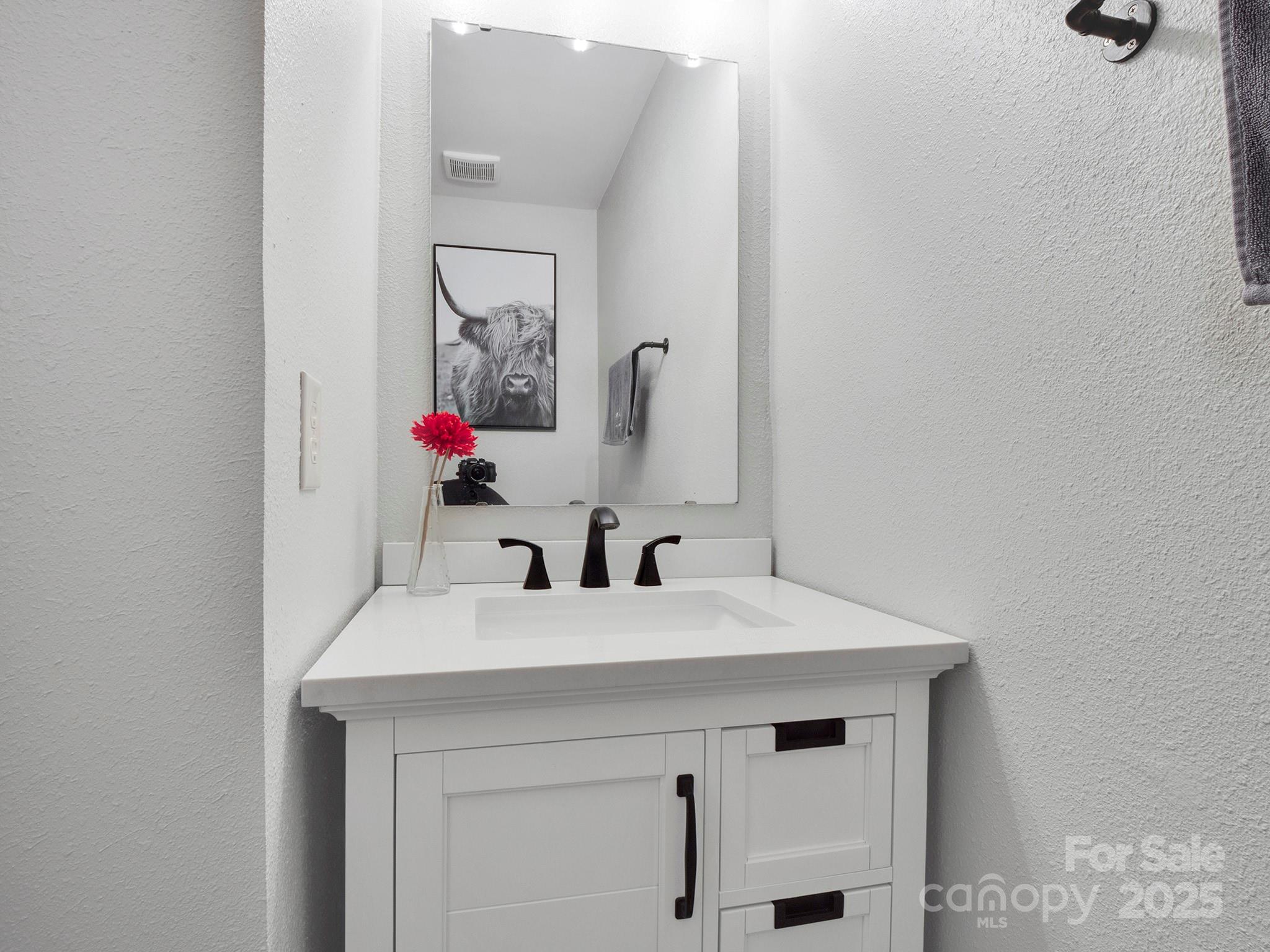 4148 Shasta Circle Clover, SC 29710 - Photo 22 of 48 a bathroom with a sink and a mirror