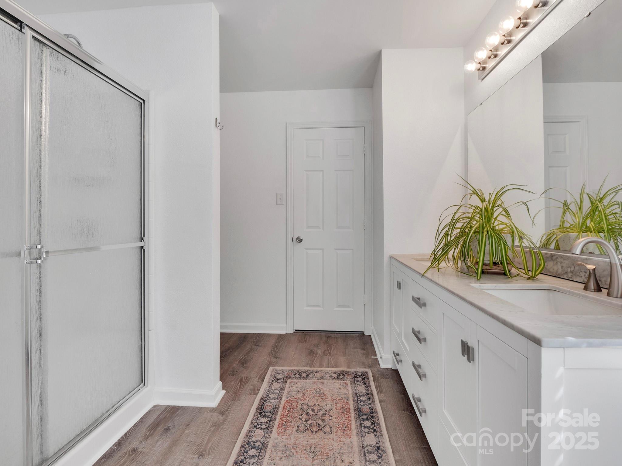 4148 Shasta Circle Clover, SC 29710 - Photo 35 of 48 a bathroom with a granite countertop sink a potted plant and a shower