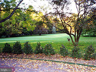 36 Rosedale Road Princeton, NJ 08540 - Photo 5 of 6 a view of a garden with a tree
