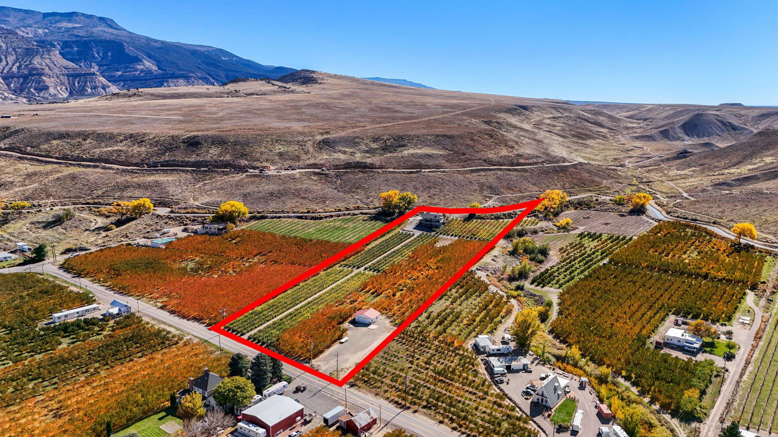 3707 F Road Palisade, CO 81526 - Photo 9 of 31 Gallery Image 9