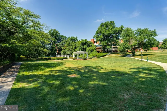 a front view of a house with yard and green space