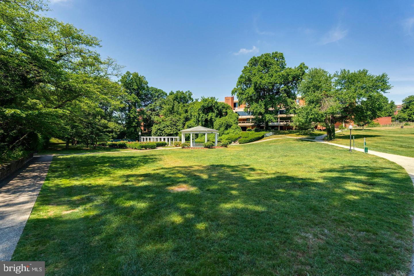 6803 Cameron Drive Northwest, Unit 514 Washington, DC 20012 - Photo 47 of 50 a view of a park with large trees
