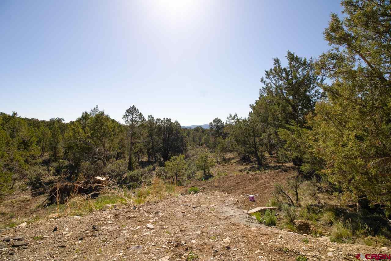 1359 Green Shadows Road Durango, CO 81303 - Photo 21 of 29 Gallery Image 21