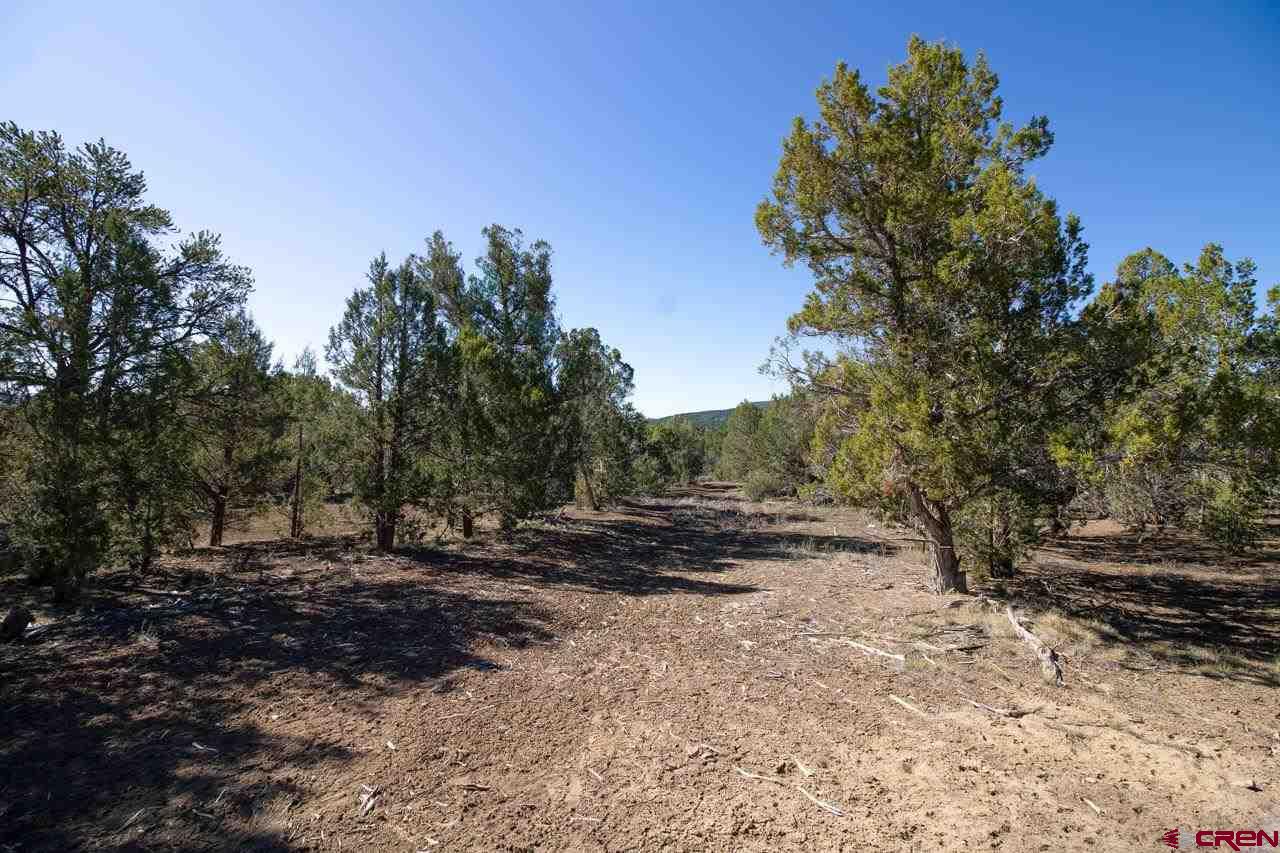1359 Green Shadows Road Durango, CO 81303 - Photo 22 of 29 Gallery Image 22