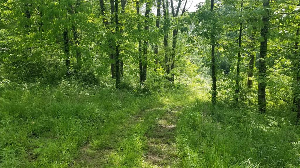 14488 County Farm Road Shoals, IN 47581 - Photo 20 of 24