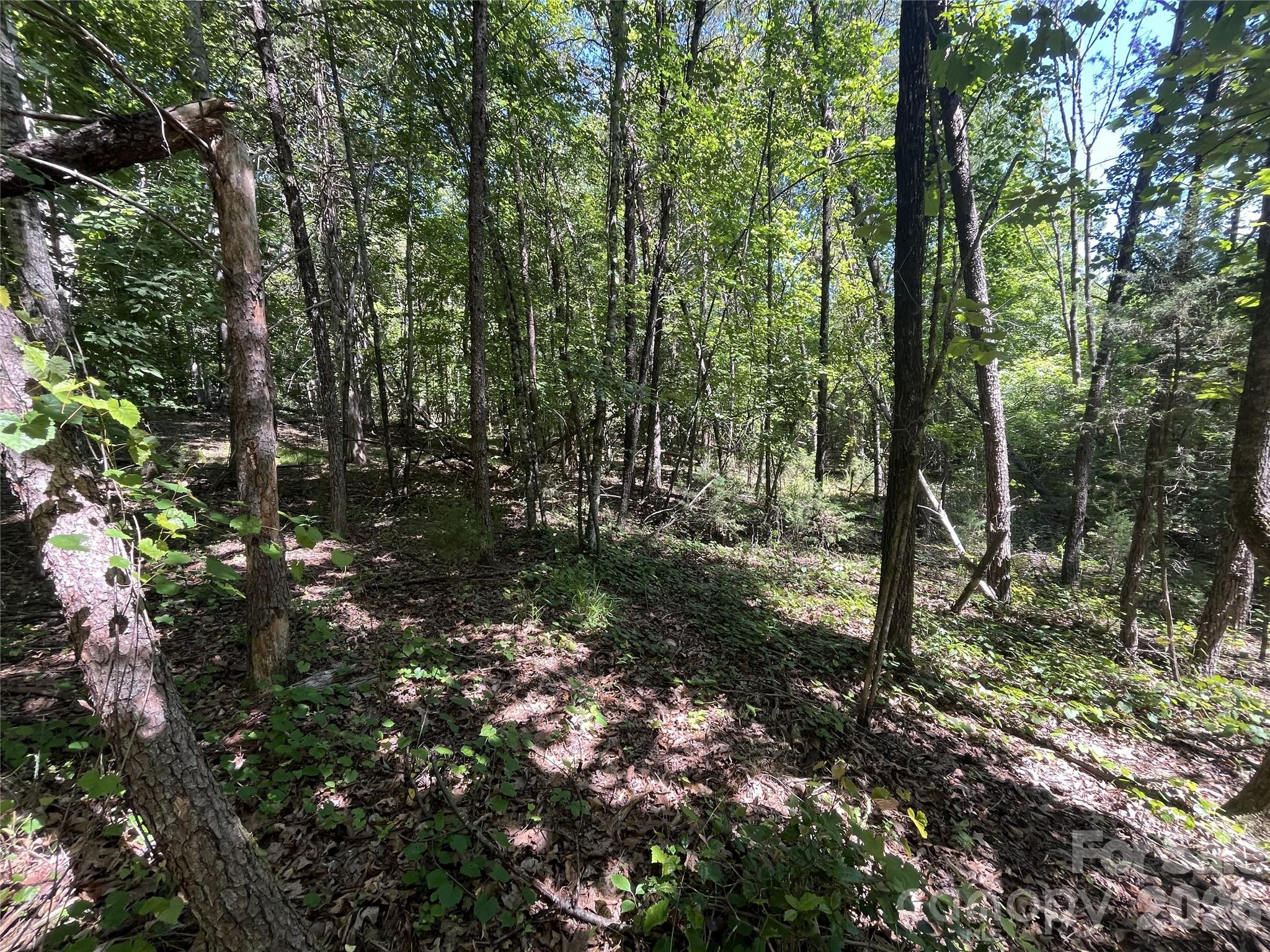 0 Rock Road Rutherfordton, NC 28139 - Photo 2 of 5