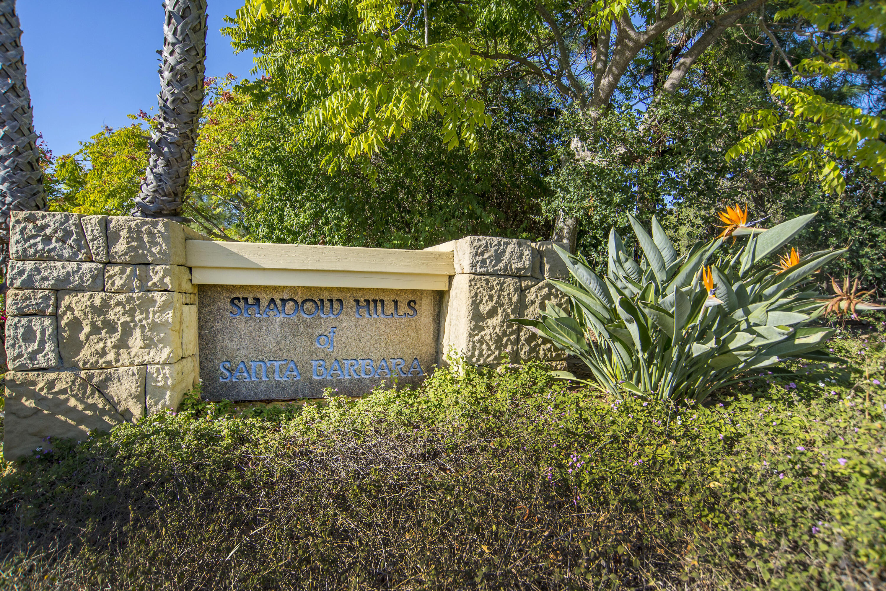 a sign of golf club on a wall under a tree