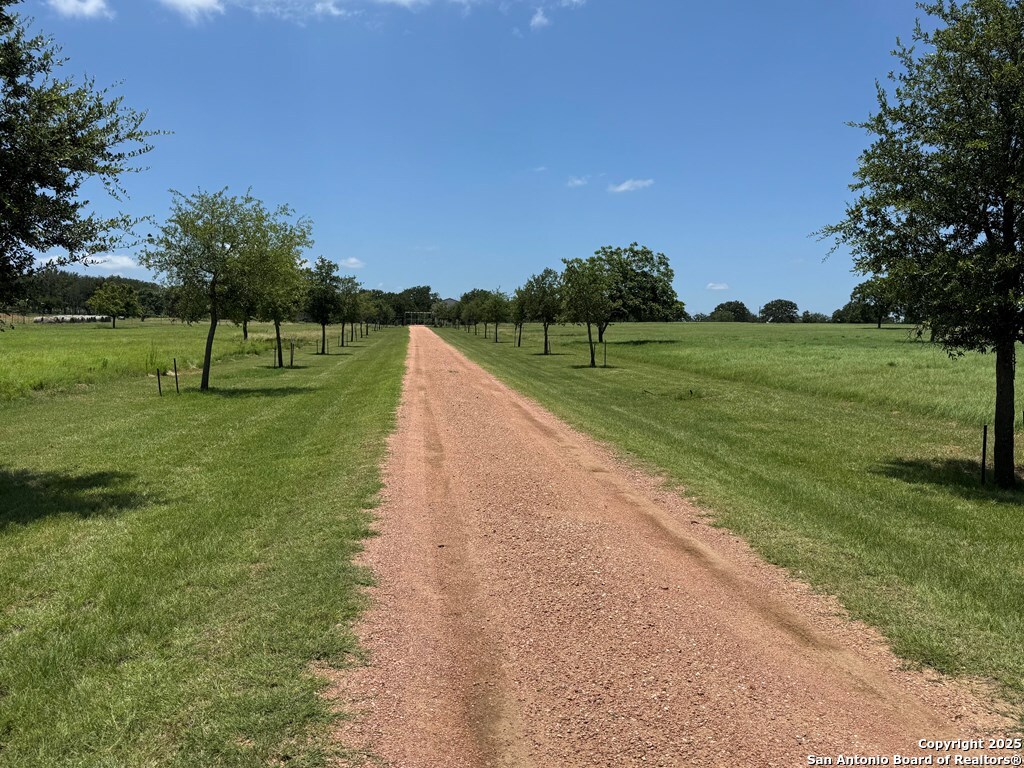 772 Luckenbach Road Fredericksburg, TX 78624 - Photo 71 of 86