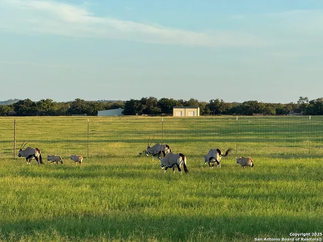 $2,995,000 | 772 Luckenbach Road, Fredericksburg, TX 78624