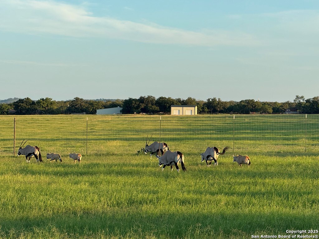 772 Luckenbach Road Fredericksburg, TX 78624 - Photo 74 of 86 a view of a lake with houses in background