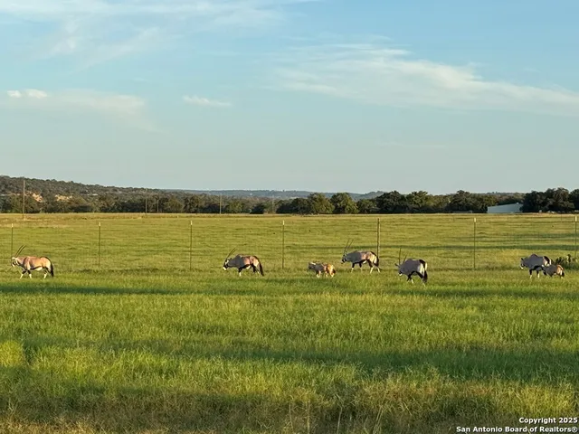 $2,995,000 | 772 Luckenbach Road, Fredericksburg, TX 78624
