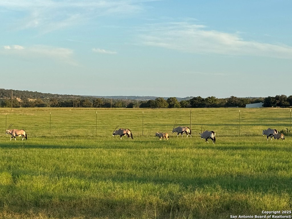 772 Luckenbach Road Fredericksburg, TX 78624 - Photo 75 of 86 a view of a lake with houses in back