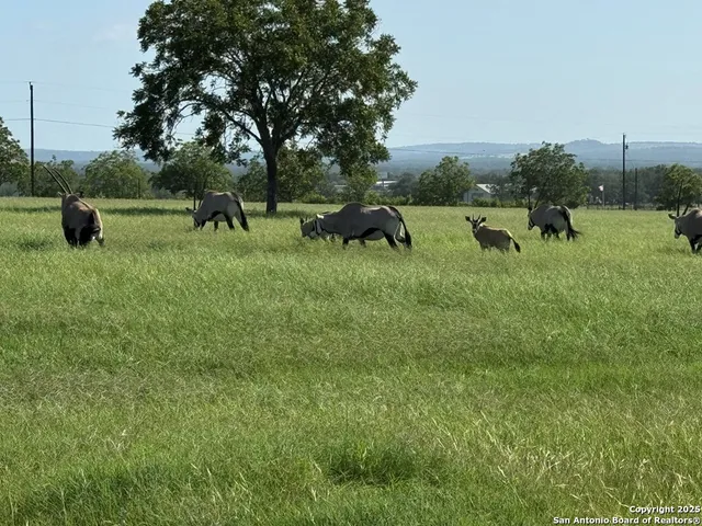 $2,995,000 | 772 Luckenbach Road, Fredericksburg, TX 78624