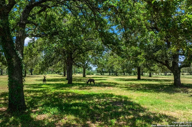 $2,995,000 | 772 Luckenbach Road, Fredericksburg, TX 78624
