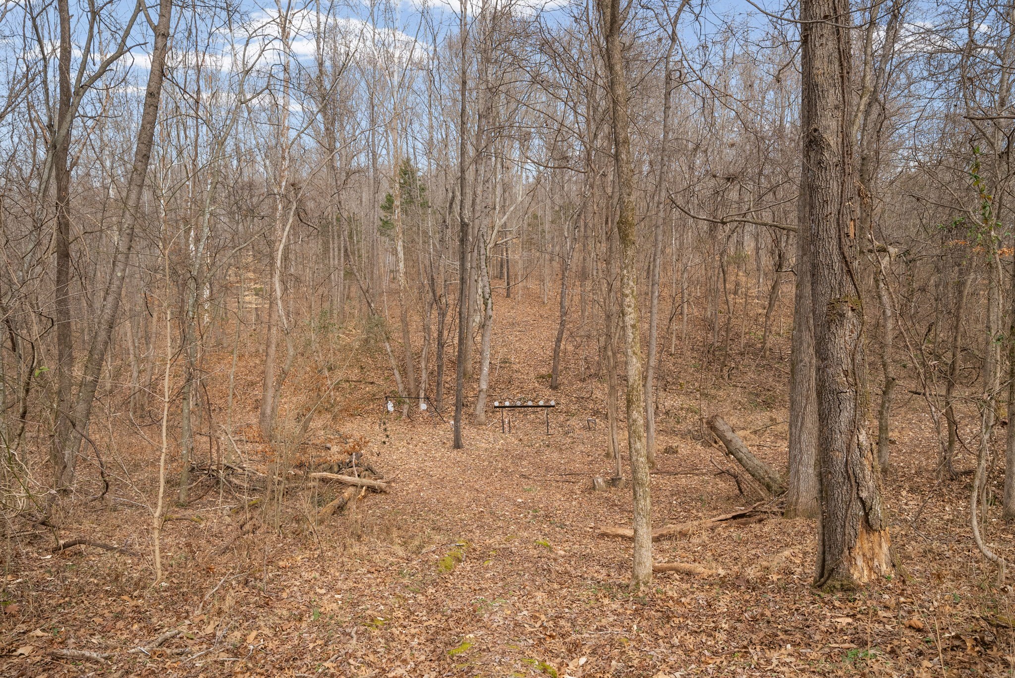 4313 Hargrove Marable Road Palmyra, TN 37142 - Photo 44 of 60
