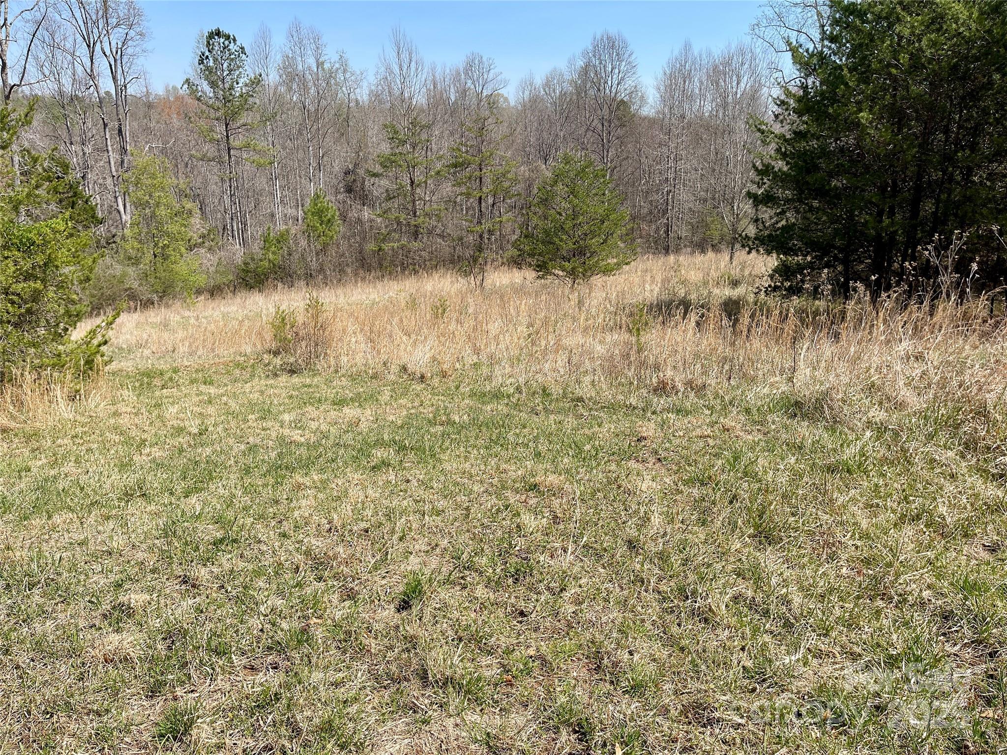 576 Grays Creek Church Road Rutherfordton, NC 28139 - Photo 19 of 24