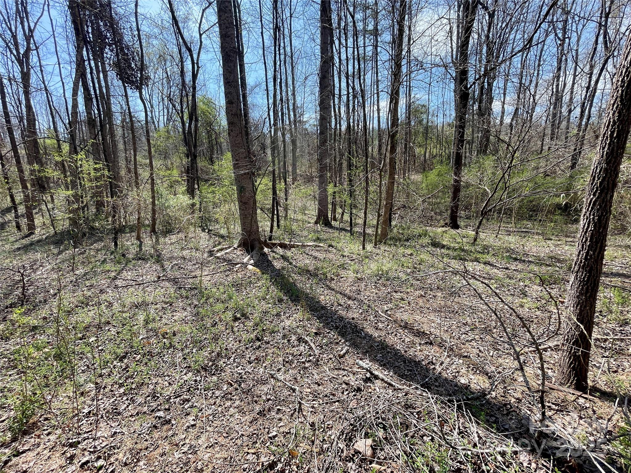 576 Grays Creek Church Road Rutherfordton, NC 28139 - Photo 20 of 24