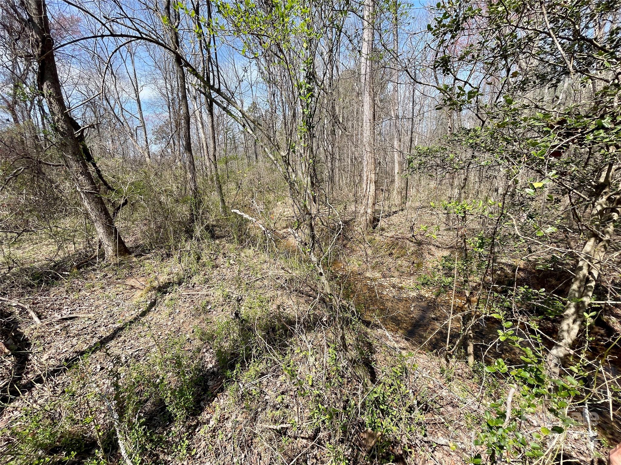 576 Grays Creek Church Road Rutherfordton, NC 28139 - Photo 21 of 24