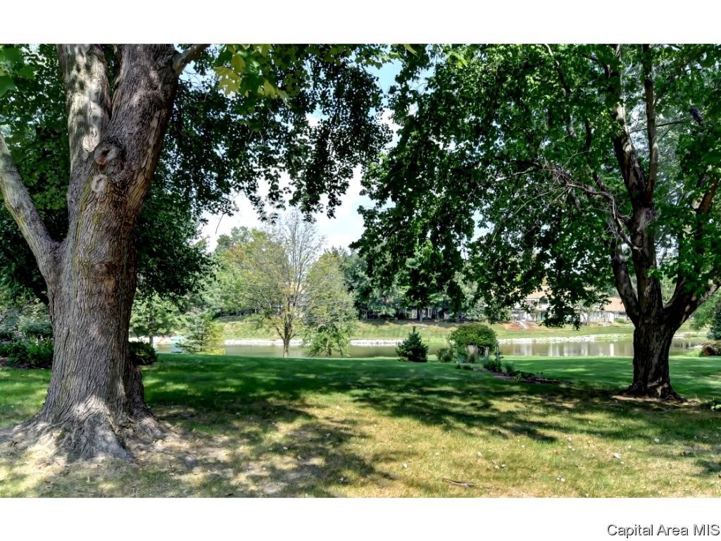 2949 Victoria Drive Springfield, IL 62704 - Photo 31 of 36 Gallery Image 31
