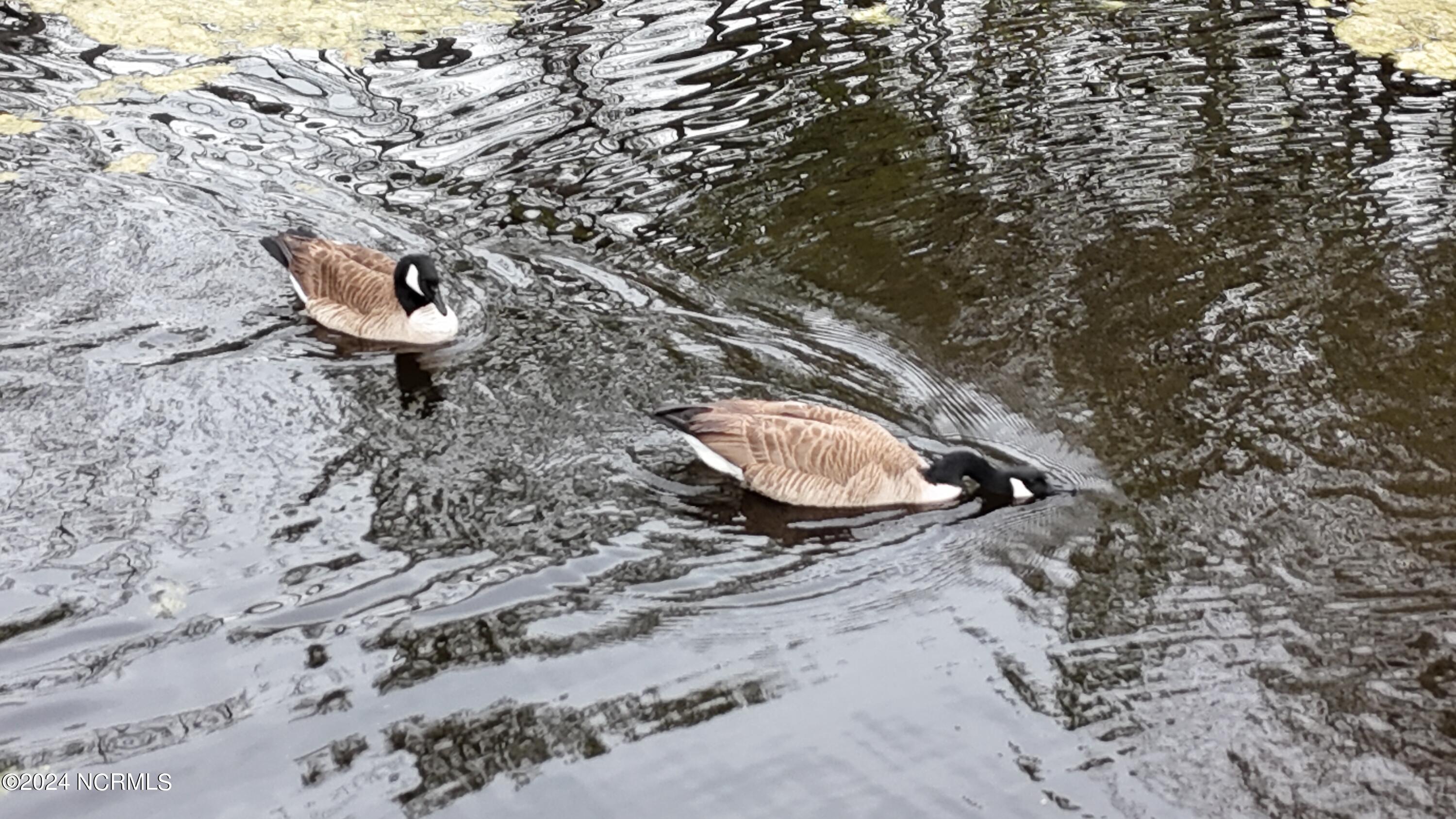 124 Aspen Road Hampstead, NC 28443 - Photo 32 of 35 dji_fly_20240410_133340_0072_17128592519