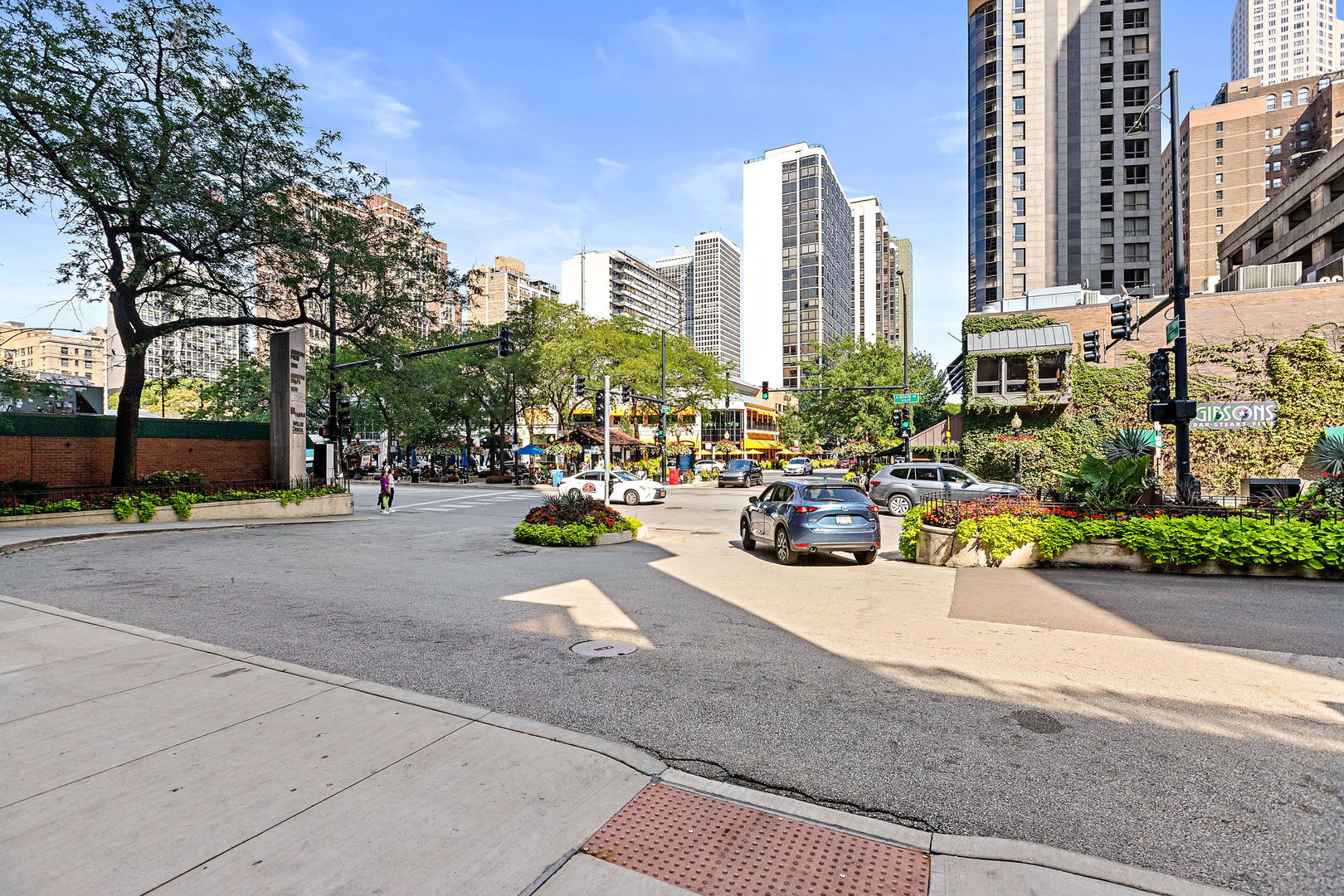 1030 North State Street, Unit 31E Chicago, IL 60610 - Photo 19 of 19 a view of a street with cars