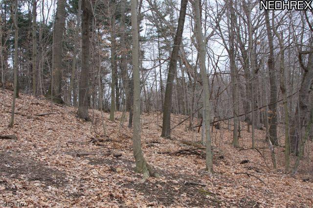 4 Timber Ridge Road Grafton, OH 44044 - Photo 8 of 15 Gallery Image 8