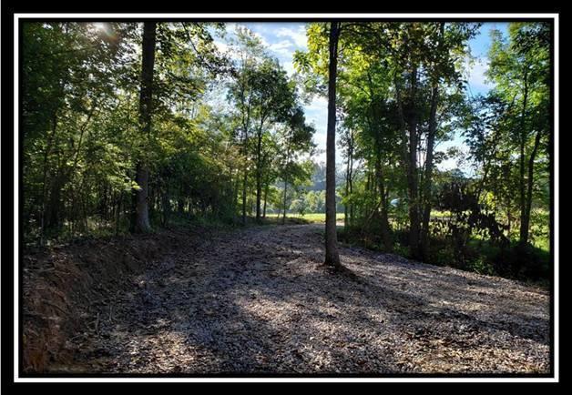 37782 Bashan Road Long Bottom, OH 45743 - Photo 15 of 26