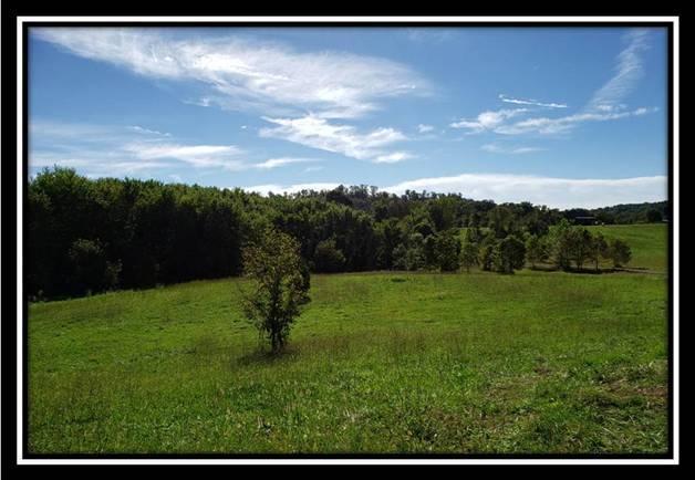 37782 Bashan Road Long Bottom, OH 45743 - Photo 16 of 26