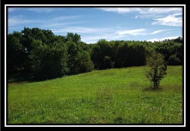 37782 Bashan Road Long Bottom, OH 45743 - Photo 17 of 26