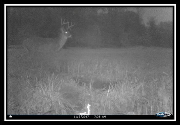 37782 Bashan Road Long Bottom, OH 45743 - Photo 20 of 26
