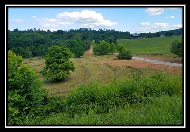 37782 Bashan Road Long Bottom, OH 45743 - Photo 22 of 26