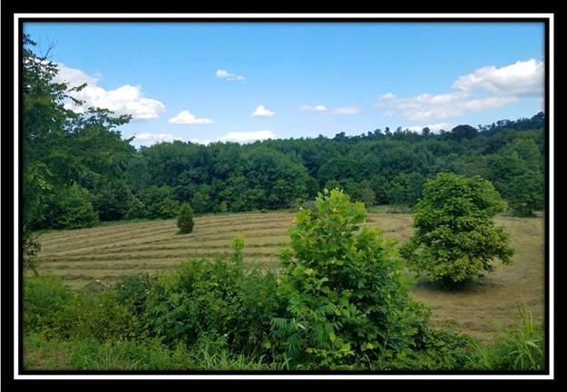 37782 Bashan Road Long Bottom, OH 45743 - Photo 23 of 26