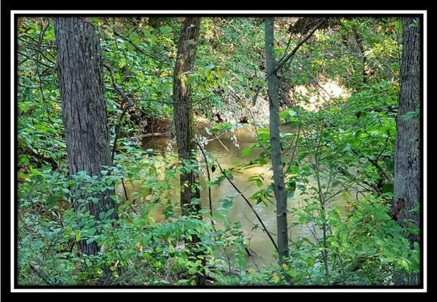 37782 Bashan Road Long Bottom, OH 45743 - Photo 3 of 26